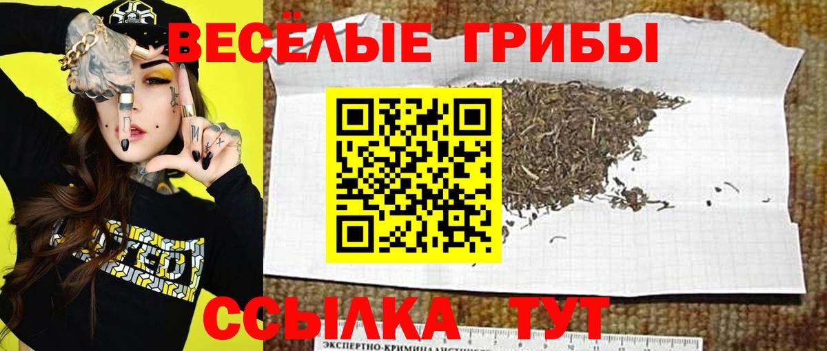 Сорочинск  Галлюциногенные грибы ЛСД  Вход с VPN 