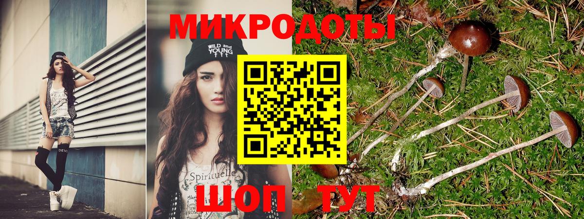 Псилоцибиновые грибы прущие грибы Сорочинск